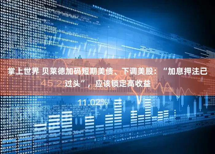 掌上世界 贝莱德加码短期美债、下调美股：“加息押注已过头”，应该锁定高收益